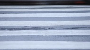 Shibuya Tokyo 'daki geçitte yürüyen insanların bacakları yağmurlu bir günde
