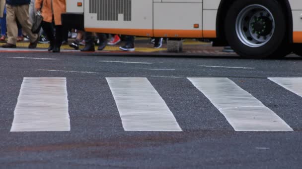 Nohy chodících lidí na křižovatce v Shibuya Tokyo deštivý den — Stock video