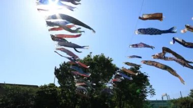 Tokyo gündüz güneşli parkta sazan streamer