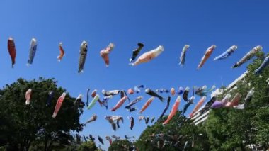 Tokyo gündüz güneşli parkta sazan streamer