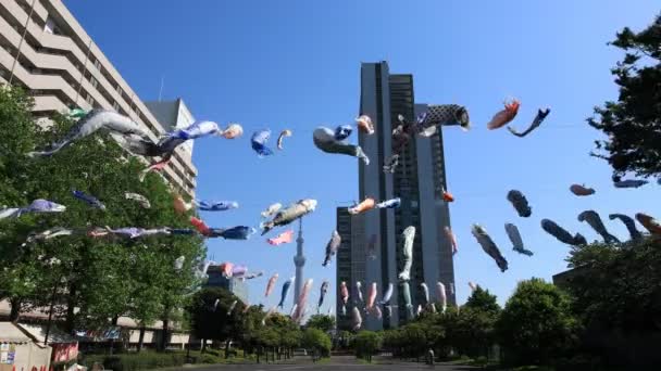 Karp streamer på parken i Tokyo dagtid Sunny — Stockvideo