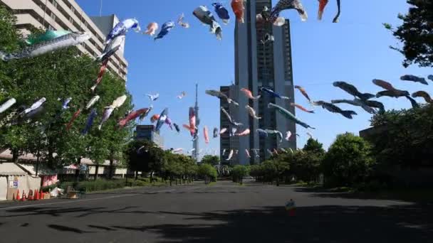 Karp streamer på parken i Tokyo dagtid Sunny — Stockvideo
