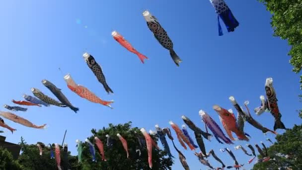 Carp Streamer di taman di siang hari Tokyo cerah — Stok Video