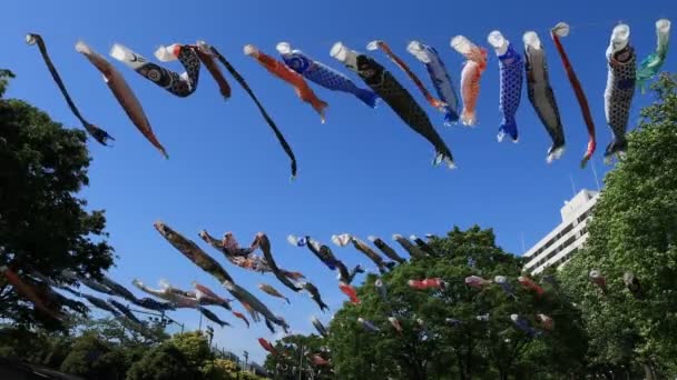 Carp streamer at the park in Tokyo daytime sunny — Stock Video