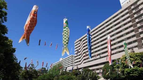 Карп разгуливает по парку в Токио в солнечный день — стоковое видео