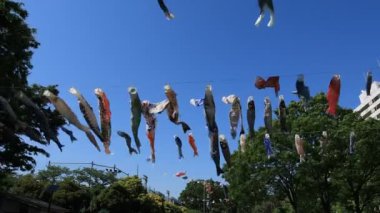 Tokyo gündüz güneşli parkta sazan streamer