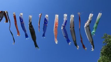 Tokyo gündüz güneşli parkta sazan streamer