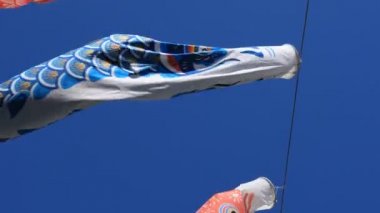 Tokyo gündüz güneşli parkta sazan streamer