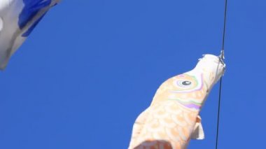 Tokyo gündüz güneşli parkta sazan streamer