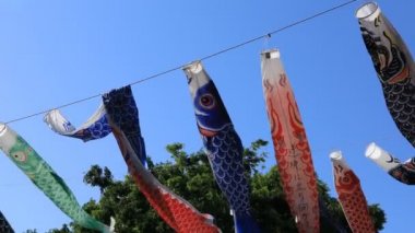 Tokyo gündüz güneşli parkta sazan streamer