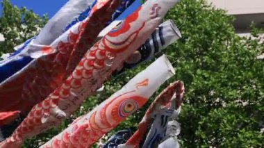 Tokyo gündüz güneşli parkta sazan streamer