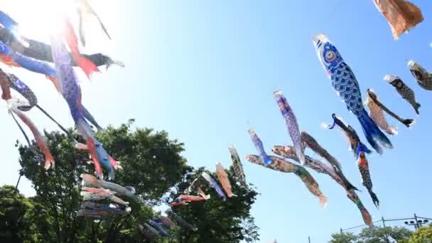 CARP streamer in het Park in Tokio overdag zonnig — Stockvideo