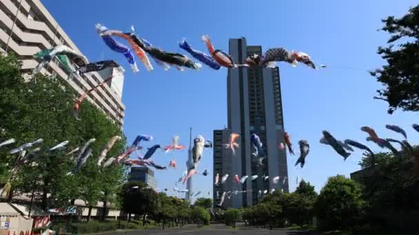 Karp streamer på parken i Tokyo dagtid Sunny — Stockvideo