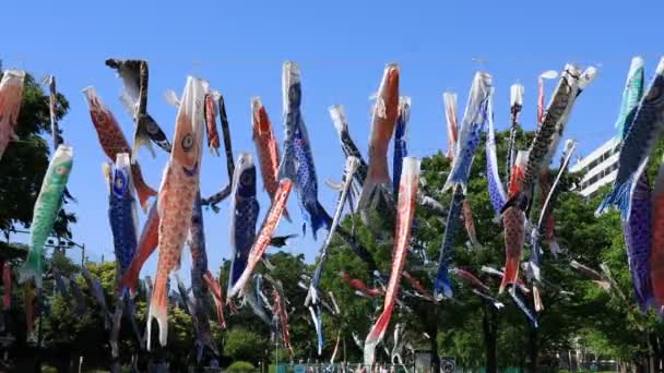 Karp streamer på parken i Tokyo dagtid Sunny — Stockvideo