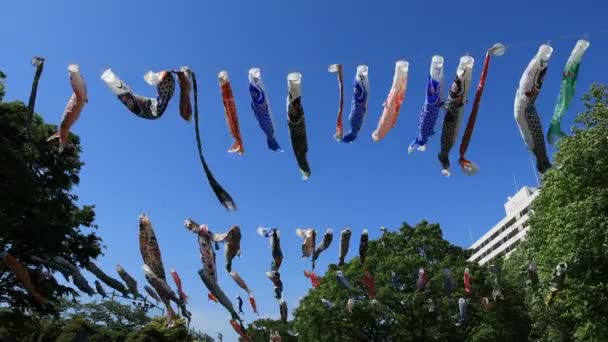 Carp streamer at the park in Tokyo daytime sunny — Stock Video