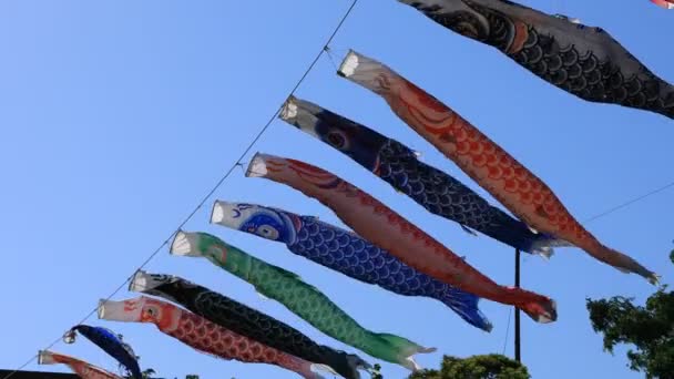 Carpe streamer au parc de Tokyo ensoleillé de jour — Video