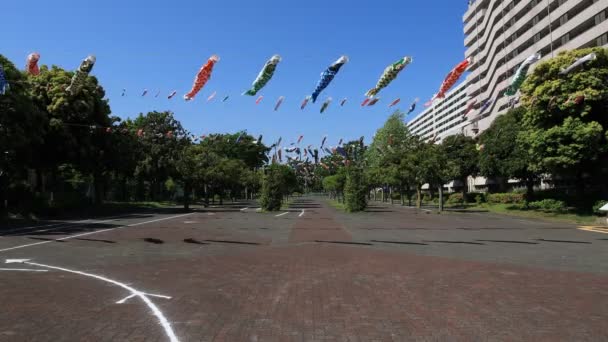 Carp streamer at the park in Tokyo daytime sunny — Stock Video