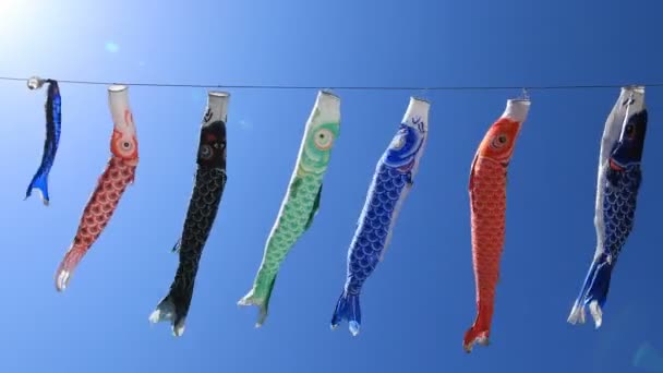 Carpa serpenteante en el parque en Tokio soleado durante el día — Vídeos de Stock