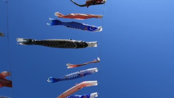東京の公園で鯉のぼり晴れ — ストック動画