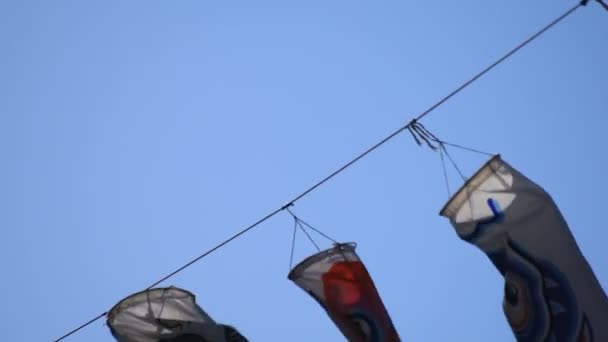 Carp streamer at the park in Tokyo daytime sunny — Stock Video