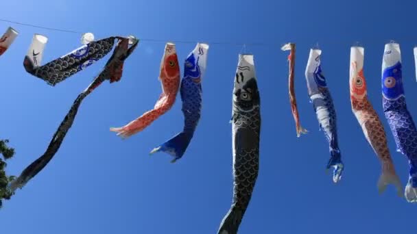 CARP streamer in het Park in Tokio overdag zonnig — Stockvideo