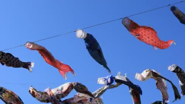 Streamer de carpa no parque em Tóquio ensolarado durante o dia — Vídeo de Stock