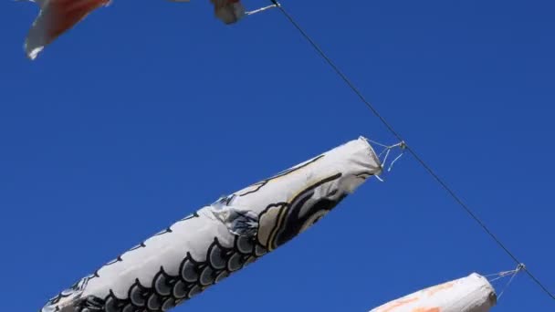Karpfenschlange im Park in Tokio tagsüber sonnig — Stockvideo