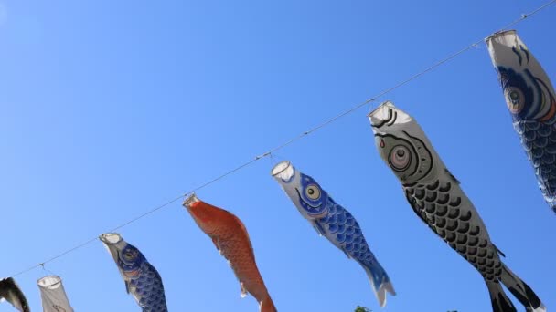 Karp streamer på parken i Tokyo dagtid Sunny — Stockvideo