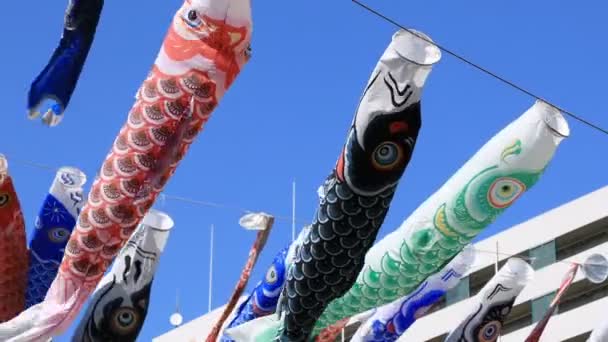 Carpe streamer au parc de Tokyo ensoleillé de jour — Video