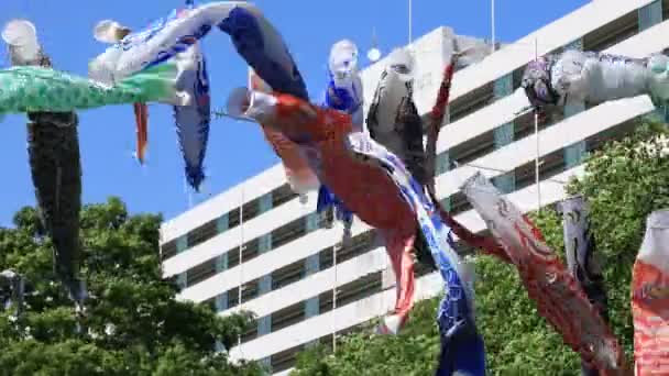 도쿄 낮 화창한 공원에서 잉어 스트리머 — 비디오