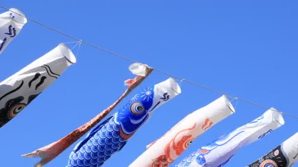 CARP streamer in het Park in Tokio overdag zonnig — Stockvideo