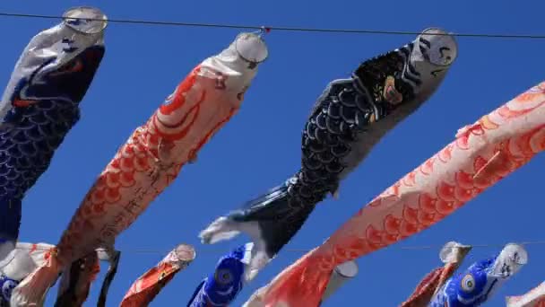 Streamer de carpa no parque em Tóquio ensolarado durante o dia — Vídeo de Stock