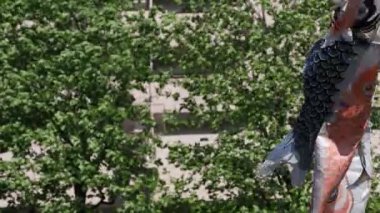 Tokyo gündüz güneşli parkta sazan streamer