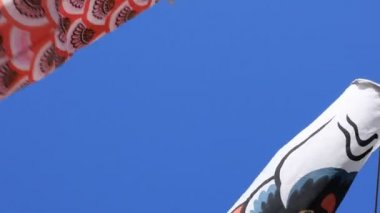 Tokyo gündüz güneşli parkta sazan streamer