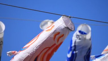Tokyo gündüz güneşli parkta sazan streamer