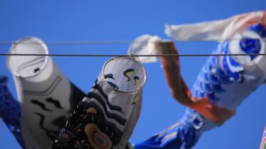 Tokyo gündüz güneşli parkta sazan streamer