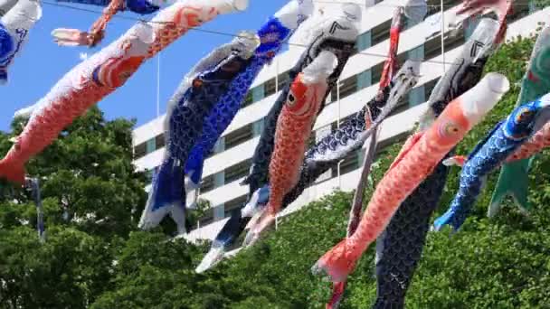 Carpe streamer au parc de Tokyo ensoleillé de jour — Video