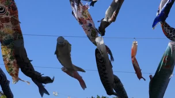 Streamer de carpa no parque em Tóquio ensolarado durante o dia — Vídeo de Stock