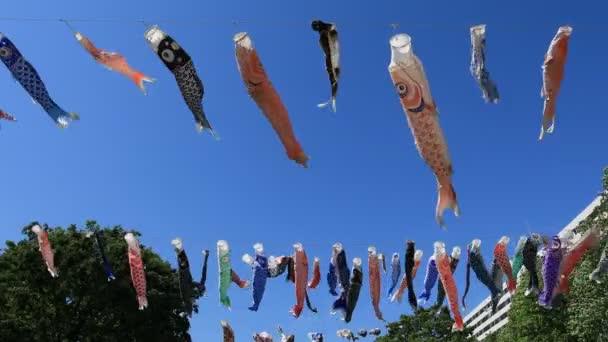 Karp streamer på parken i Tokyo dagtid Sunny — Stockvideo