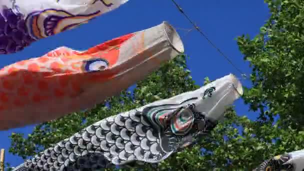 Carpa serpenteante en el parque en Tokio soleado durante el día — Vídeo de stock