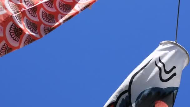 Carp streamer at the park in Tokyo daytime sunny — Stock Video