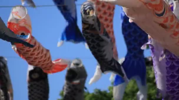 CARP streamer in het Park in Tokio overdag zonnig — Stockvideo