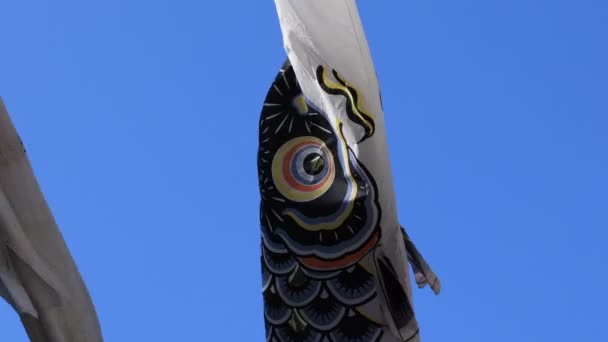 Carp streamer at the park in Tokyo daytime sunny — Stock Video