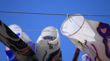 Tokyo gündüz güneşli parkta sazan streamer