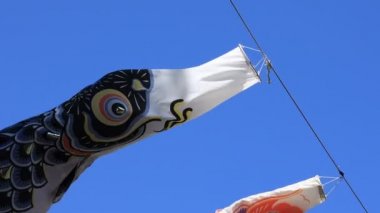 Tokyo gündüz güneşli parkta sazan streamer