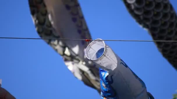 Streamer de carpa no parque em Tóquio ensolarado durante o dia — Vídeo de Stock