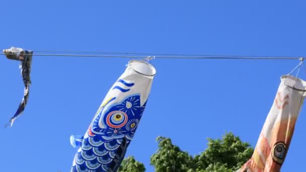 Carpe streamer au parc de Tokyo ensoleillé de jour — Video