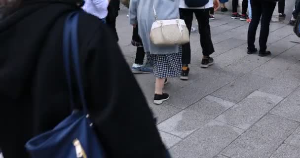 Partes do corpo de pessoas ambulantes na estrada pavimentada de pedra em Asakusa — Vídeo de Stock