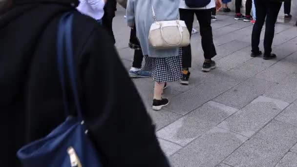 Lichaamsdelen van mensen wandelen op de geplaveide weg in Asakusa — Stockvideo