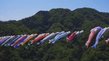 Ibaraki gündüz güneşli Ryujin büyük köprüde sazan flamalar